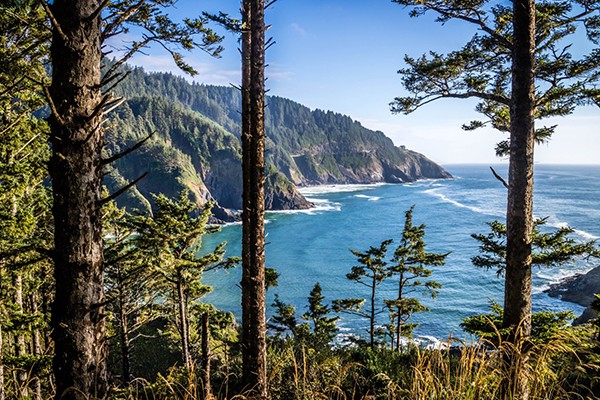 Oregon Coast