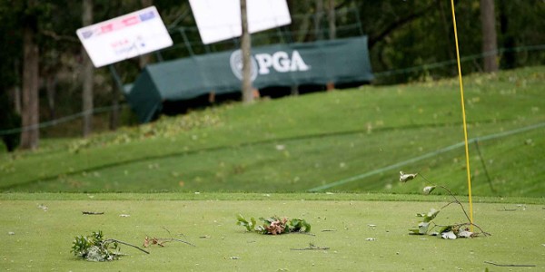 Rule of the Month: Sticks and Stones