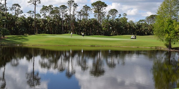 Handicap Hub Inquiring Minds Want to Know -2